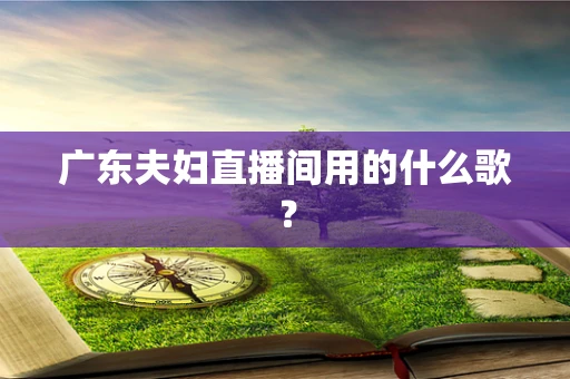 广东夫妇直播间用的什么歌？