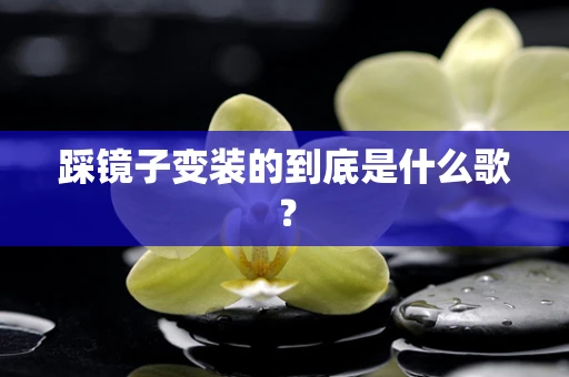 踩镜子变装的到底是什么歌？