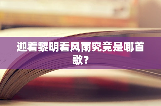 迎着黎明看风雨究竟是哪首歌？