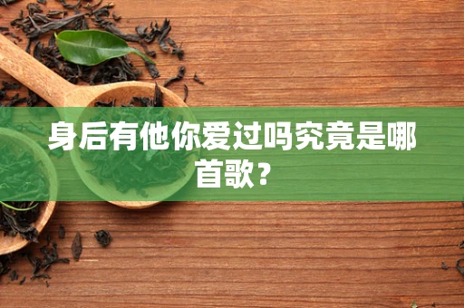 身后有他你爱过吗究竟是哪首歌？