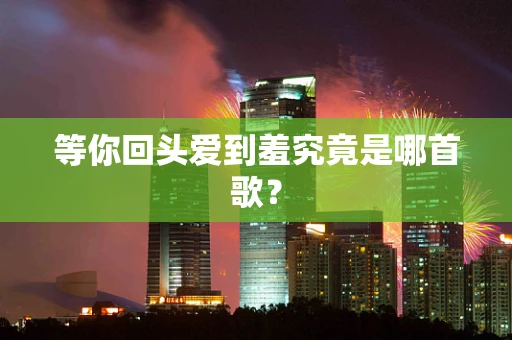 等你回头爱到羞究竟是哪首歌？