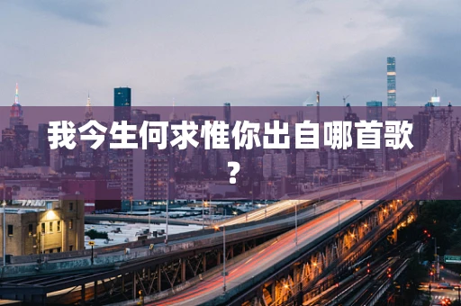 我今生何求惟你出自哪首歌？