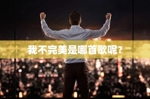 我不完美是哪首歌呢？
