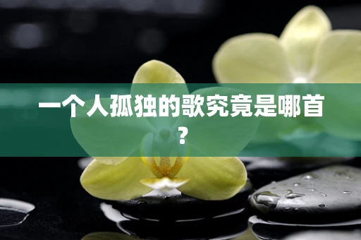 一个人孤独的歌究竟是哪首？