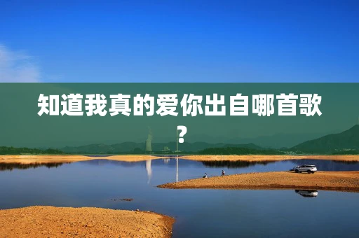 知道我真的爱你出自哪首歌？