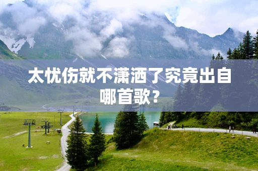 太忧伤就不潇洒了究竟出自哪首歌？