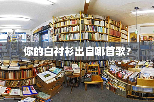 你的白衬衫出自哪首歌？