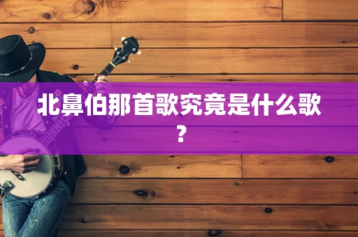 北鼻伯那首歌究竟是什么歌？