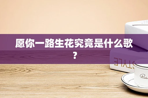 愿你一路生花究竟是什么歌？