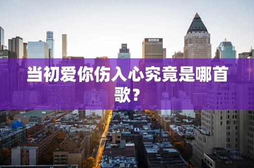当初爱你伤入心究竟是哪首歌？