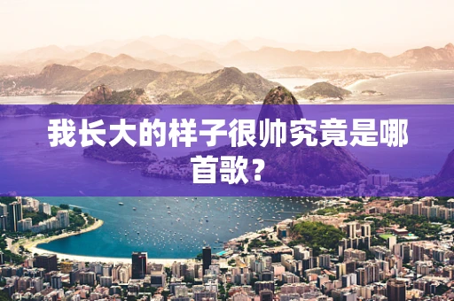 我长大的样子很帅究竟是哪首歌？