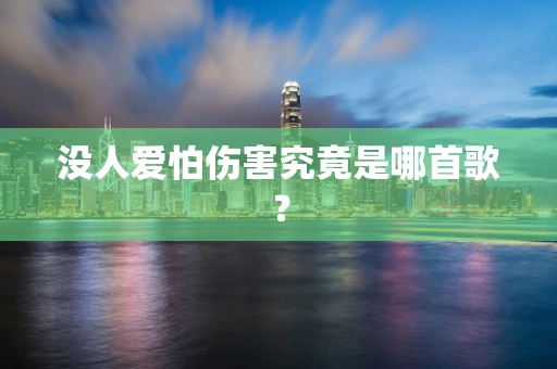 没人爱怕伤害究竟是哪首歌？