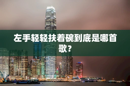 左手轻轻扶着碗到底是哪首歌？