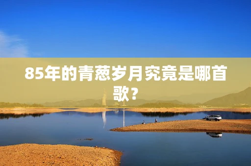 85年的青葱岁月究竟是哪首歌？