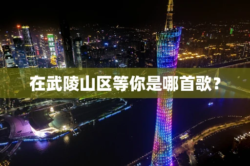 在武陵山区等你是哪首歌？