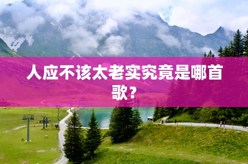 人应不该太老实究竟是哪首歌？
