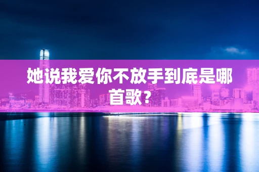 她说我爱你不放手到底是哪首歌？