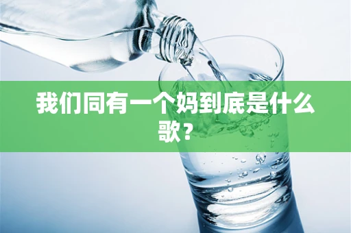 我们同有一个妈到底是什么歌？