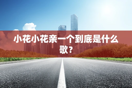 小花小花亲一个到底是什么歌？