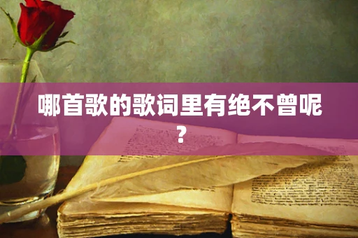 哪首歌的歌词里有绝不曾呢？