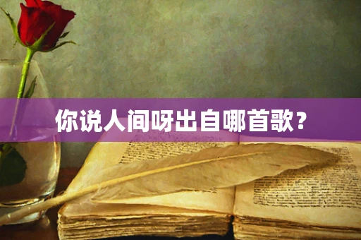你说人间呀出自哪首歌？