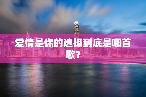 爱情是你的选择到底是哪首歌？