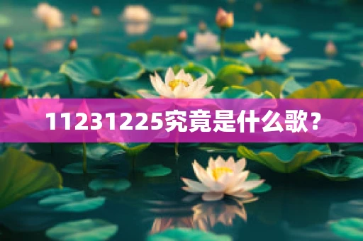 11231225究竟是什么歌？