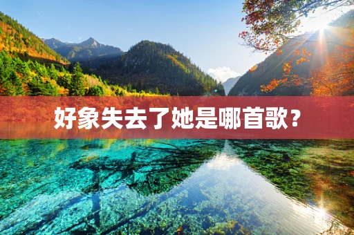 好象失去了她是哪首歌？