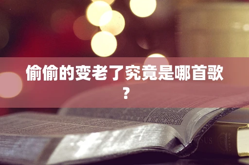 偷偷的变老了究竟是哪首歌？