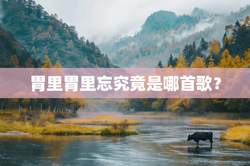 胃里胃里忘究竟是哪首歌？