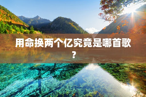 用命换两个亿究竟是哪首歌？