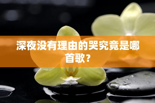 深夜没有理由的哭究竟是哪首歌？