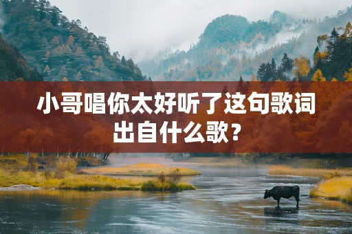 小哥唱你太好听了这句歌词出自什么歌？