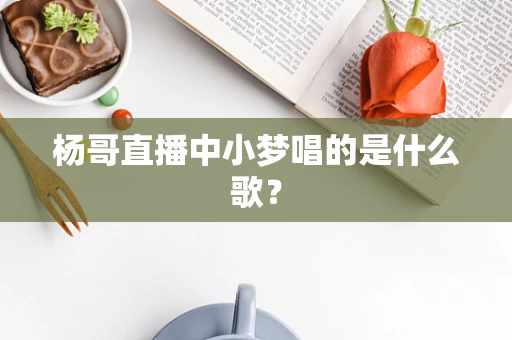 杨哥直播中小梦唱的是什么歌？
