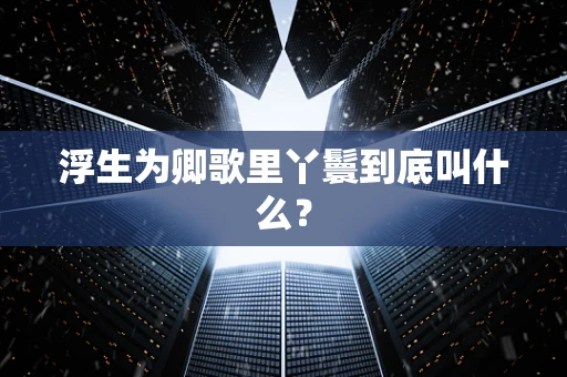浮生为卿歌里丫鬟到底叫什么？