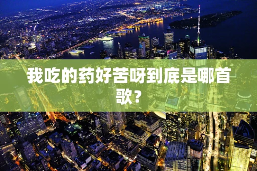 我吃的药好苦呀到底是哪首歌？