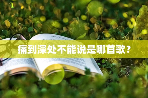 痛到深处不能说是哪首歌？