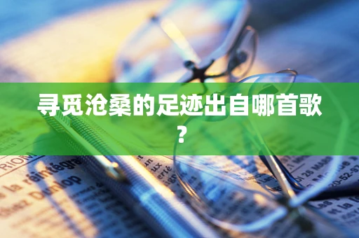 寻觅沧桑的足迹出自哪首歌？