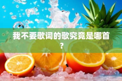我不要歌词的歌究竟是哪首？