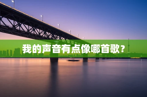 我的声音有点像哪首歌？