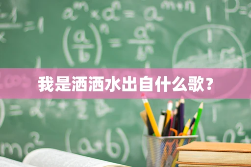 我是洒洒水出自什么歌？