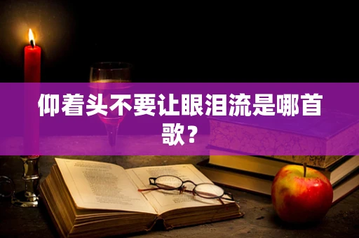 仰着头不要让眼泪流是哪首歌？