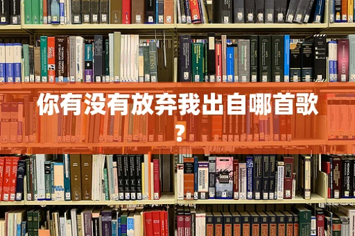 你有没有放弃我出自哪首歌？