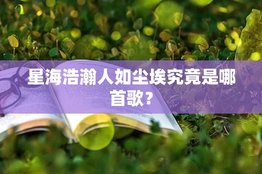 星海浩瀚人如尘埃究竟是哪首歌？