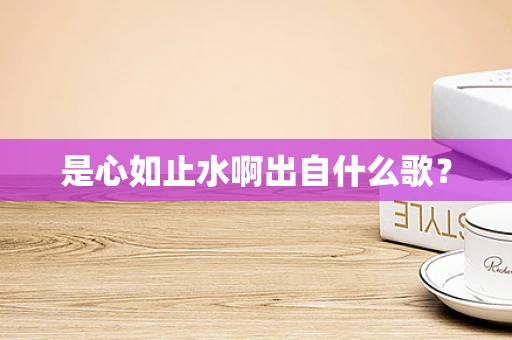 是心如止水啊出自什么歌？