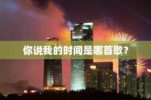 你说我的时间是哪首歌？