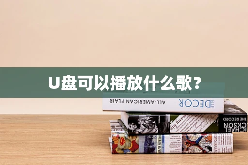 U盘可以播放什么歌？