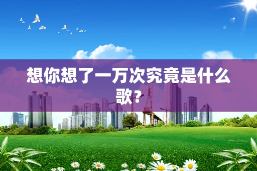 想你想了一万次究竟是什么歌？