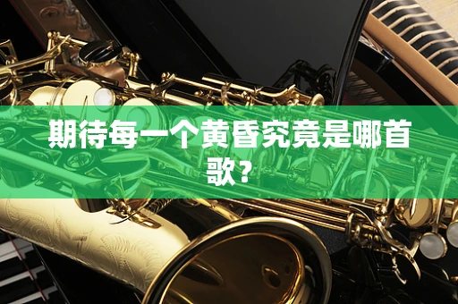 期待每一个黄昏究竟是哪首歌？