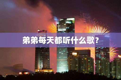 弟弟每天都听什么歌？